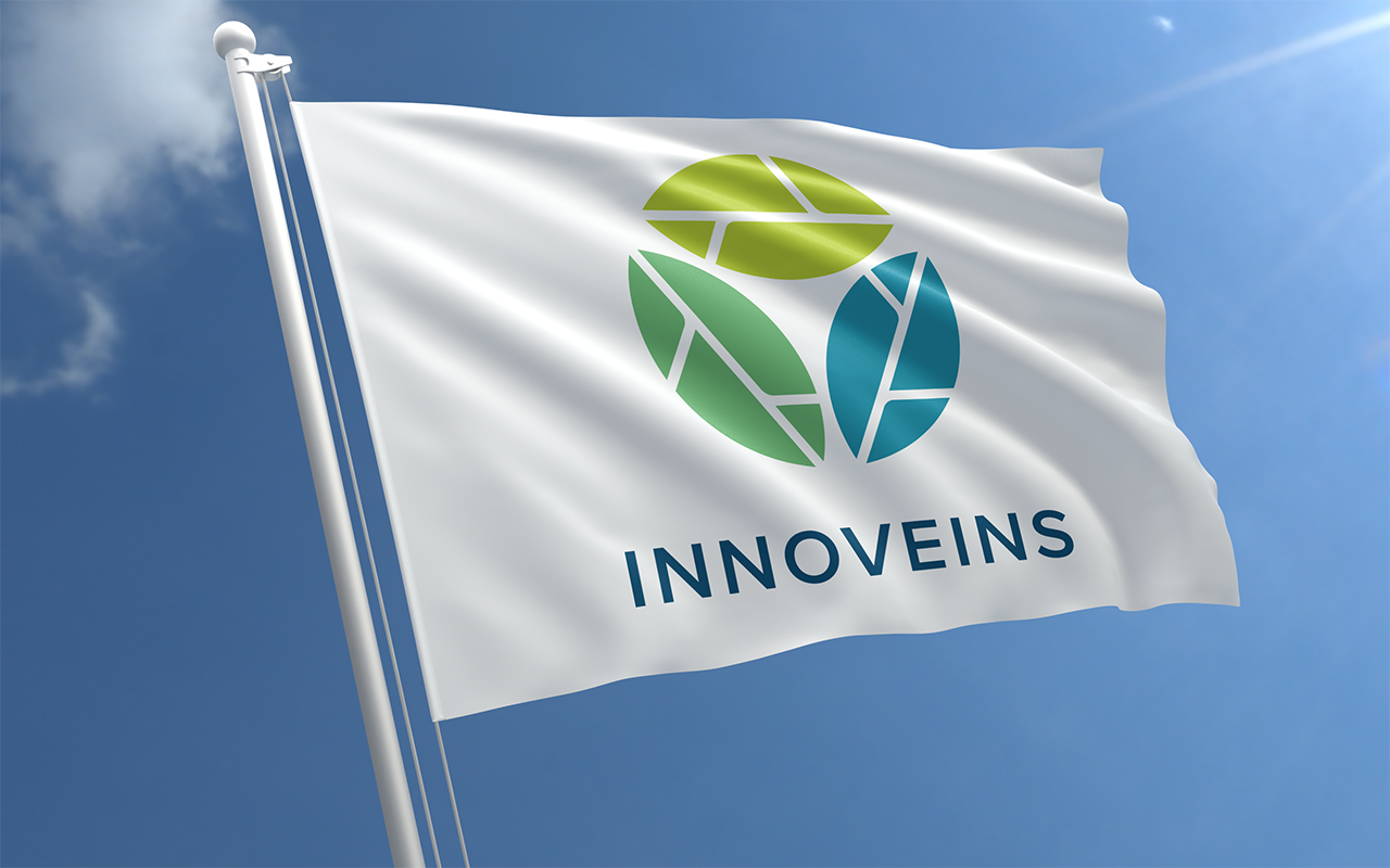 Branding Innoveins