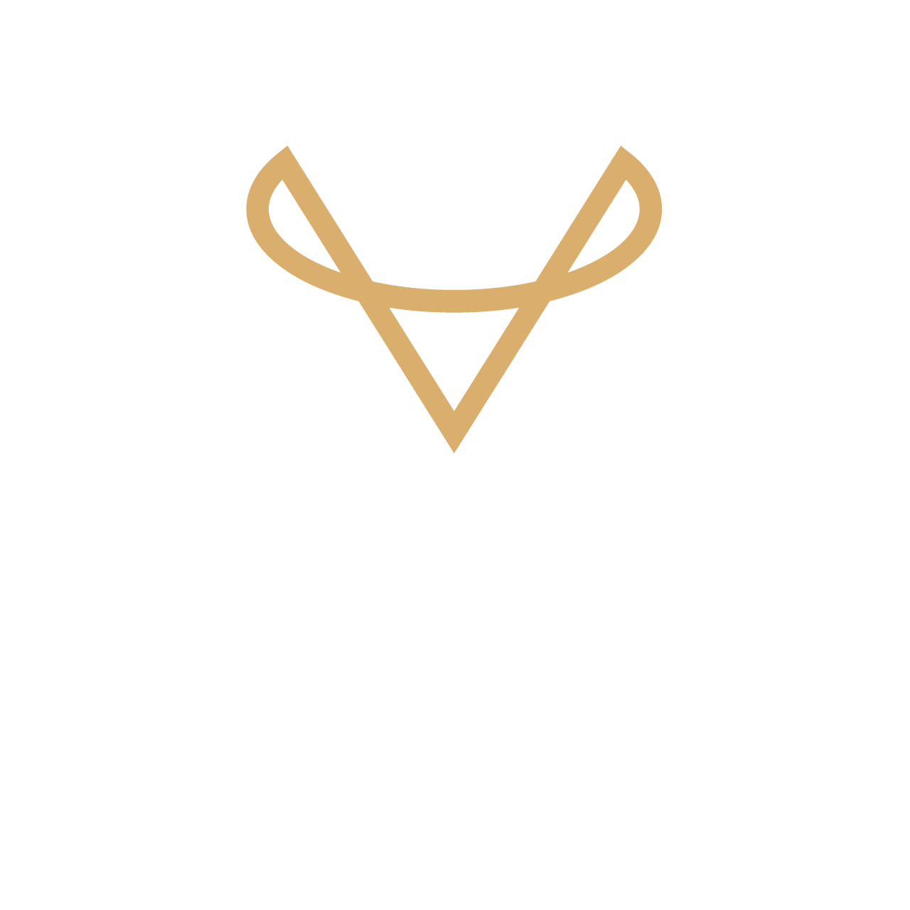 Highvisual drone foto- en video